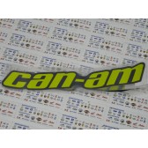 CAN-AM DECAL